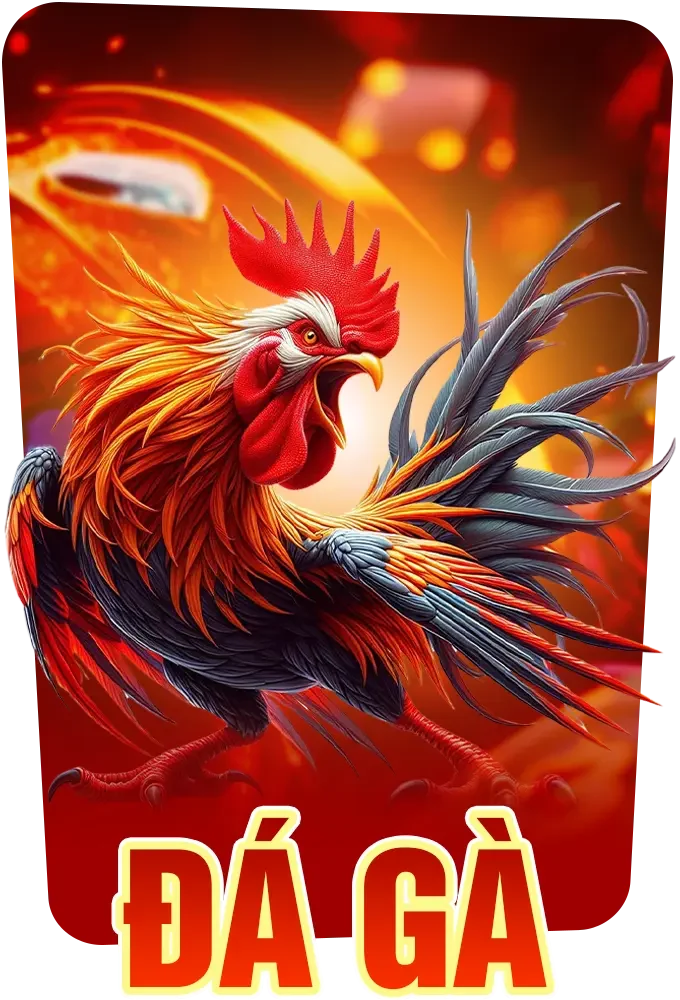 Đá gà