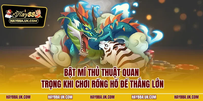 Bật mí thủ thuật quan trọng khi chơi Rồng Hổ để thắng lớn