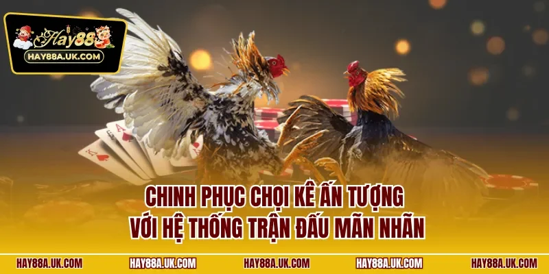 Chinh phục chọi kê ấn tượng với hệ thống trận đấu mãn nhãn